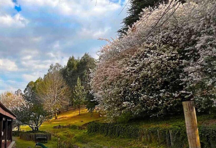 غرفة ديلوكس ثلاثية, Malachite Manor