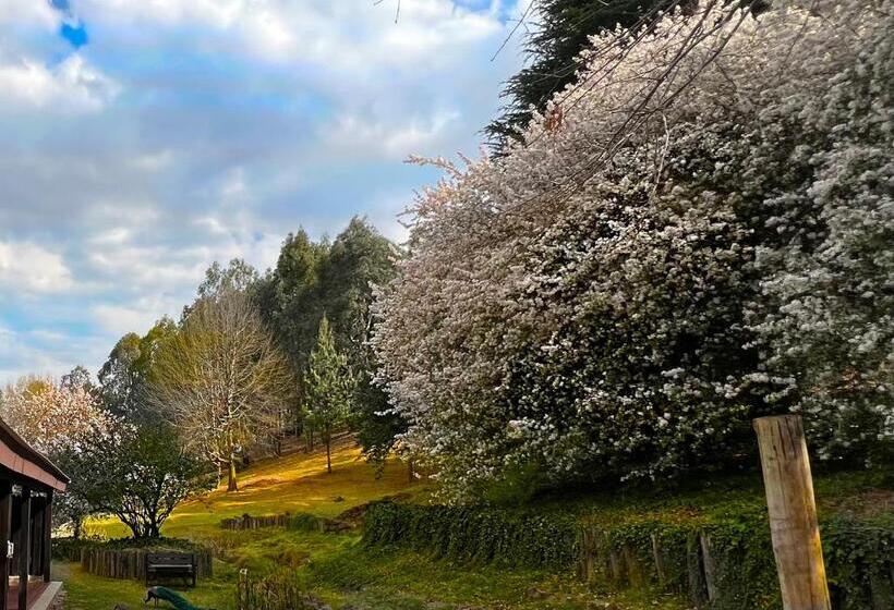 غرفة ديلوكس ثلاثية, Malachite Manor