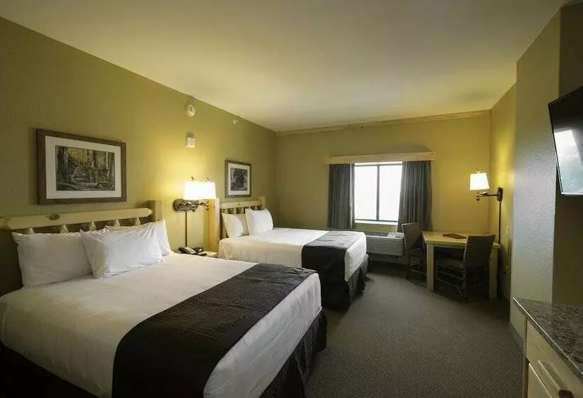 スイート, Great Wolf Lodge Southern California