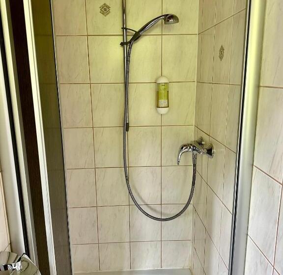 غرفة قياسية فردية, Pension Steakhaus Füssen