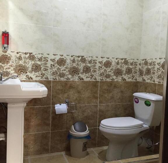 اتاق سوپریور با تخت بزرگ, Hello Dushanbe Hostel