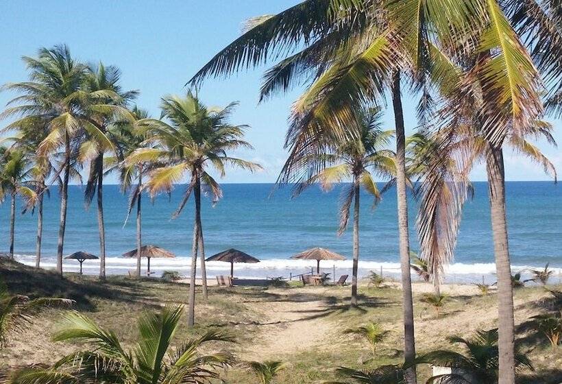 בקתה סטנדרטית, Coco Beach