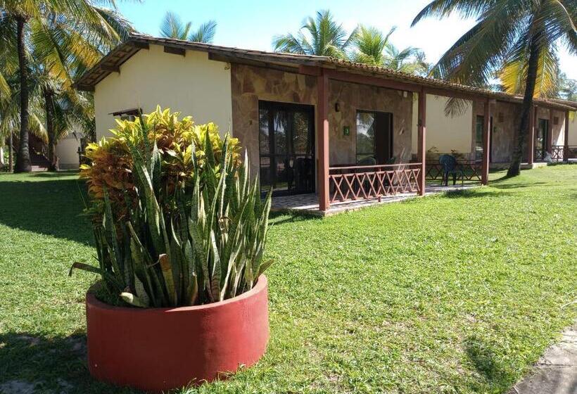 בקתה סטנדרטית, Coco Beach