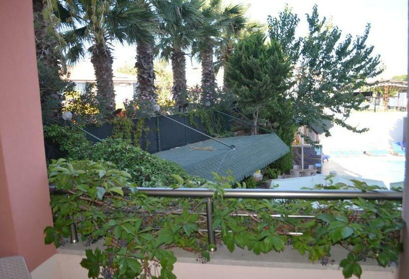 スタンダードルーム, Megas