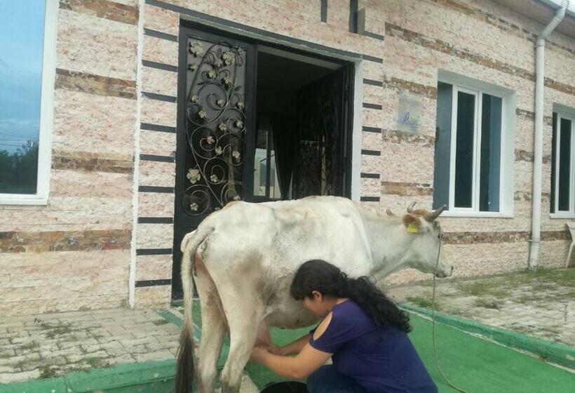 اتاق استاندارد, Paradise Investment Resort