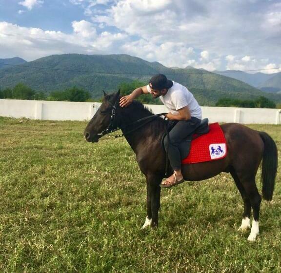 اتاق استاندارد, Paradise Investment Resort