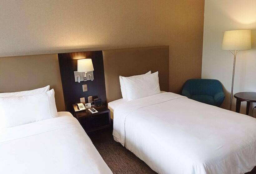 اتاق استاندارد, Radisson Hotel Santa Cruz