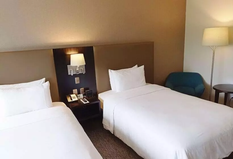 اتاق استاندارد, Radisson Hotel Santa Cruz