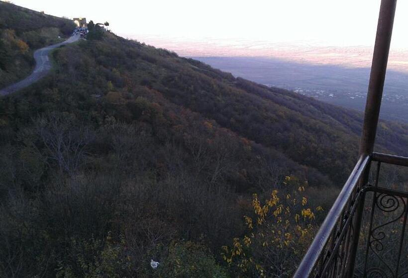 Economy Triple Room, Guest House Shota