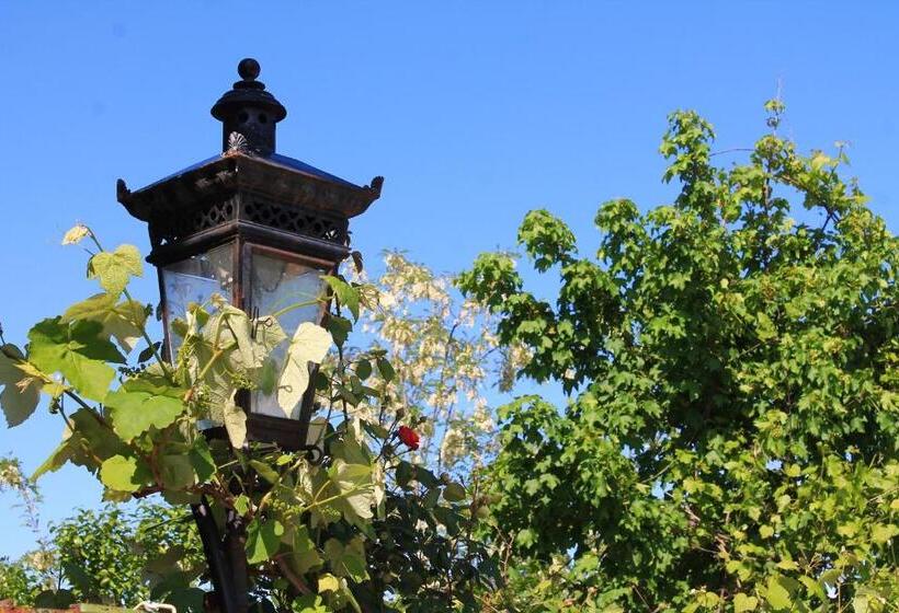 اتاق استاندارد, Guest House Shota