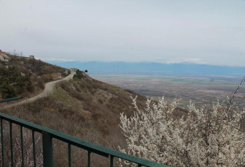 اتاق استاندارد, Guest House Shota