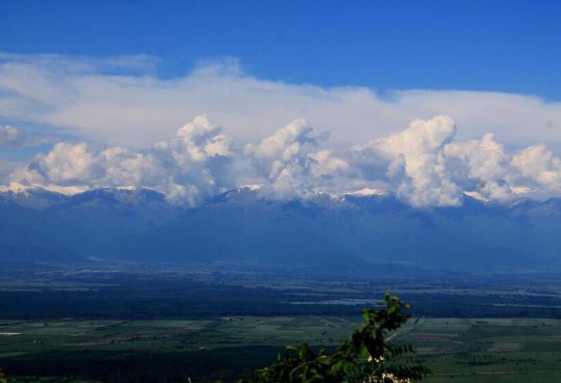 Economy Triple Room, Guest House Shota
