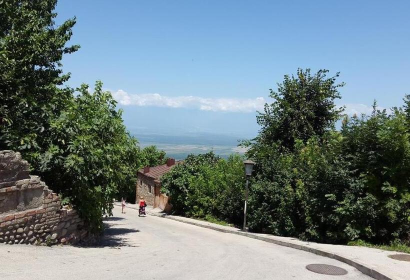 اتاق استاندارد, Guest House Shota