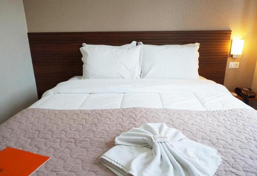 수피리어 룸, Nelo