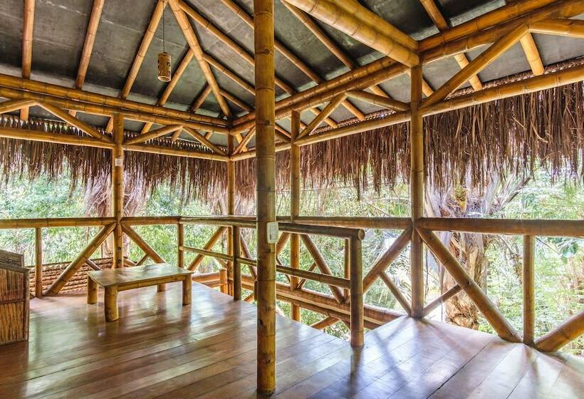 공동 객실, Universo Pol Bamboo Hostel