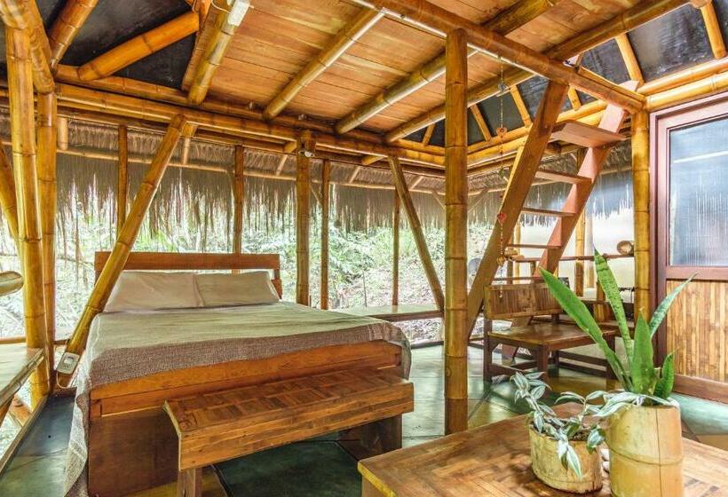 Бунгало Стандарт, Universo Pol Bamboo Hostel