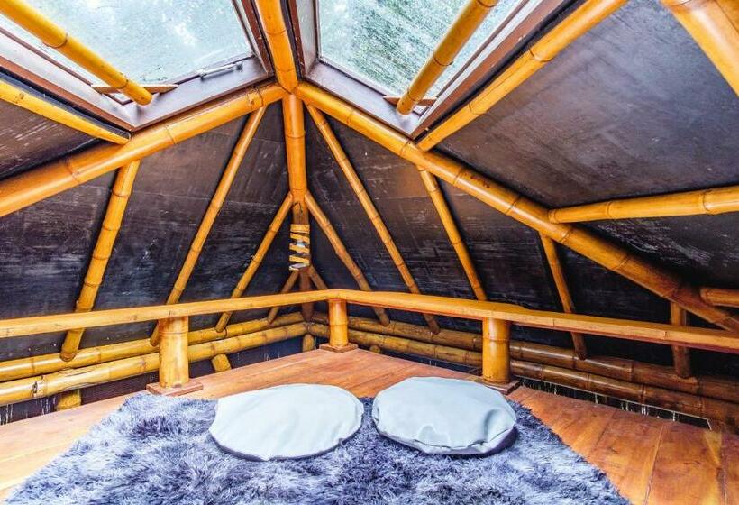 스탠다드 방갈로, Universo Pol Bamboo Hostel