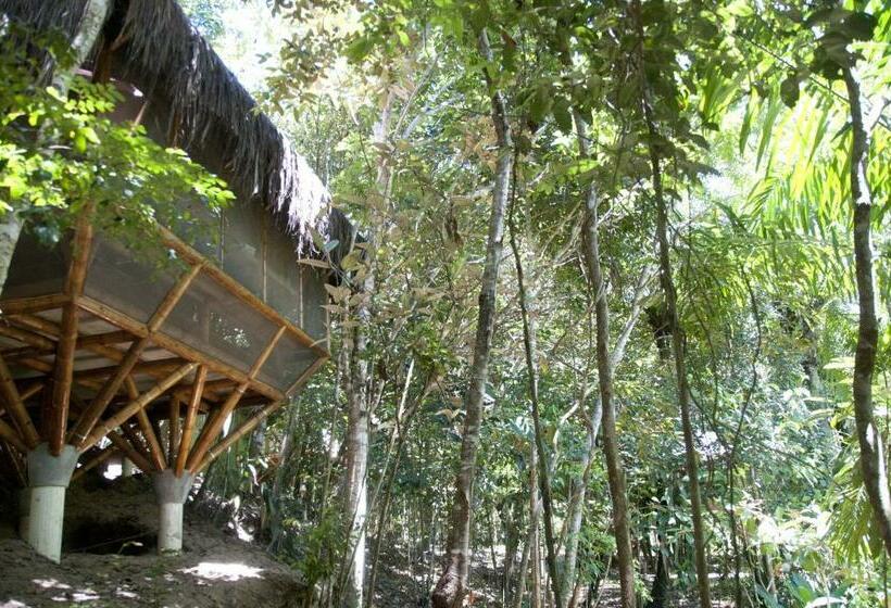 Бунгало Стандарт, Universo Pol Bamboo Hostel