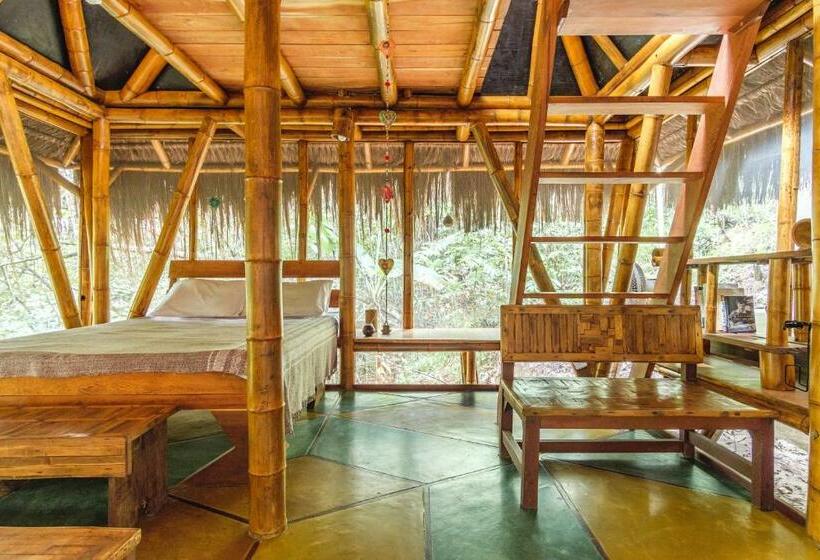 Бунгало Стандарт, Universo Pol Bamboo Hostel