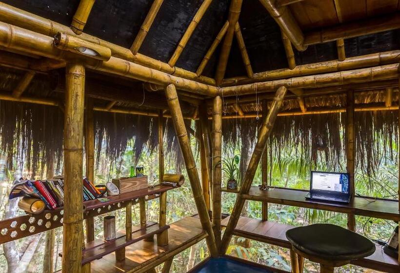Бунгало Стандарт, Universo Pol Bamboo Hostel