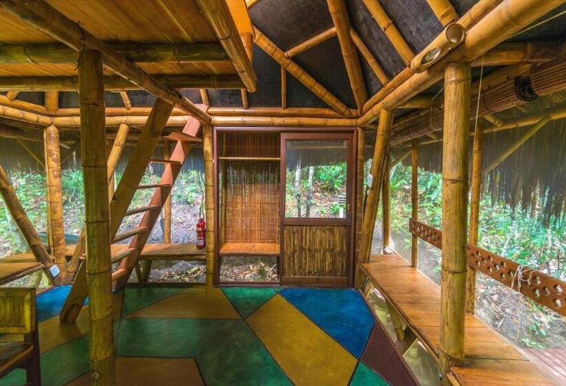 Бунгало Стандарт, Universo Pol Bamboo Hostel