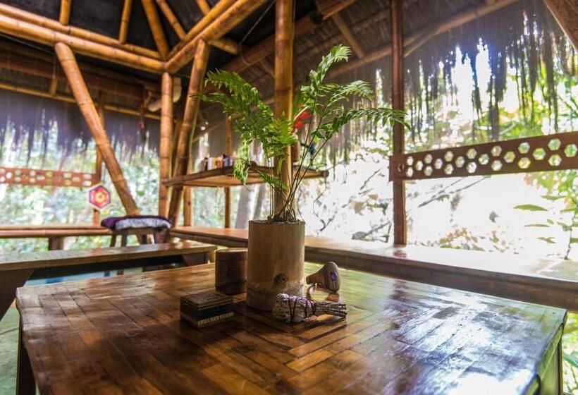 Бунгало Стандарт, Universo Pol Bamboo Hostel