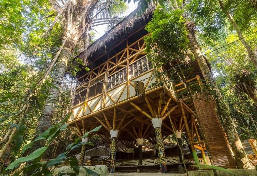 Кровать в Общей Комнате, Universo Pol Bamboo Hostel