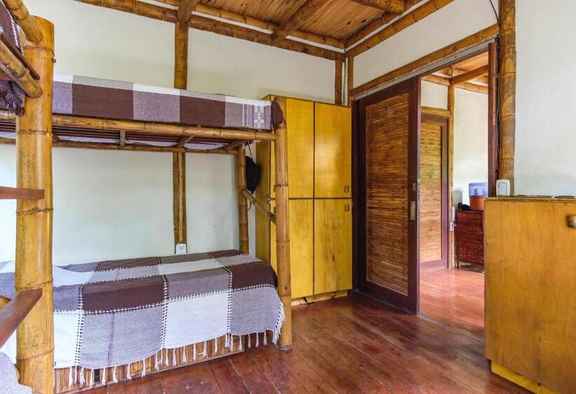 Кровать в Общей Комнате, Universo Pol Bamboo Hostel