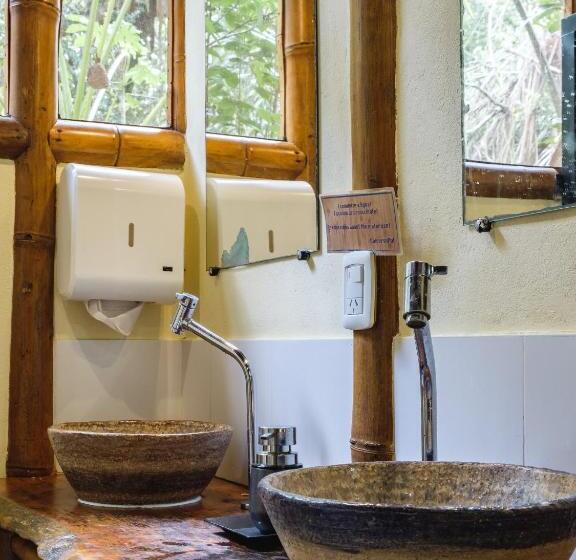 Кровать в Общей Комнате, Universo Pol Bamboo Hostel