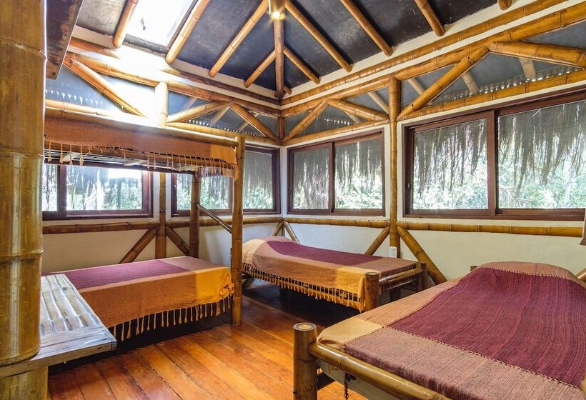 Кровать в Общей Комнате, Universo Pol Bamboo Hostel