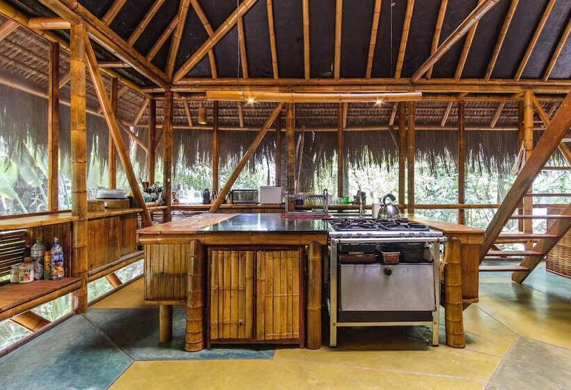 Бунгало Стандарт, Universo Pol Bamboo Hostel