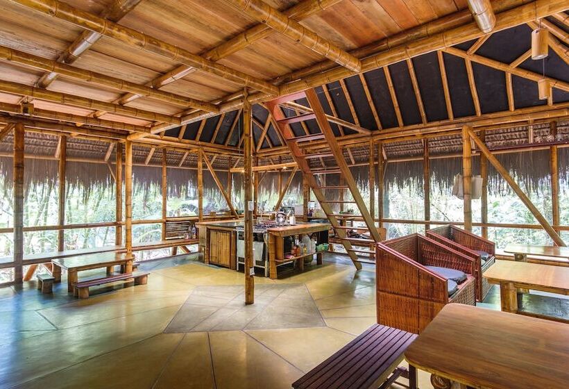 Бунгало Стандарт, Universo Pol Bamboo Hostel