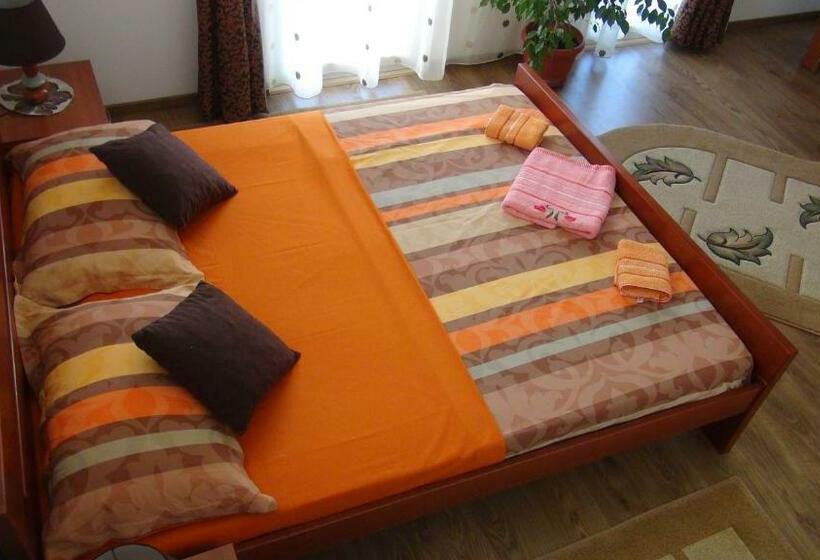 Habitació Estàndard amb Terrassa, B&b Lovac