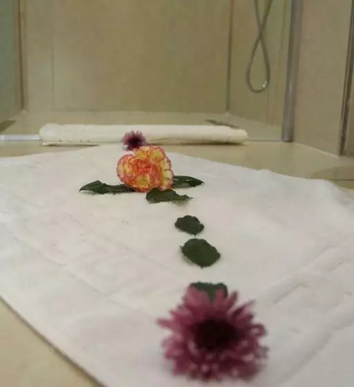 سوئیت با بالکن, Devin Otel