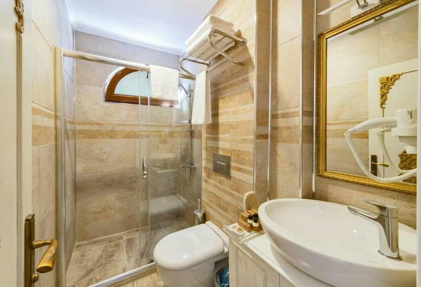 اتاق استاندارد, 1453