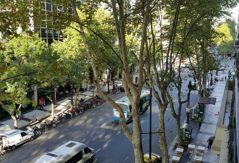 اتاق استاندارد یک نفره, Avenida