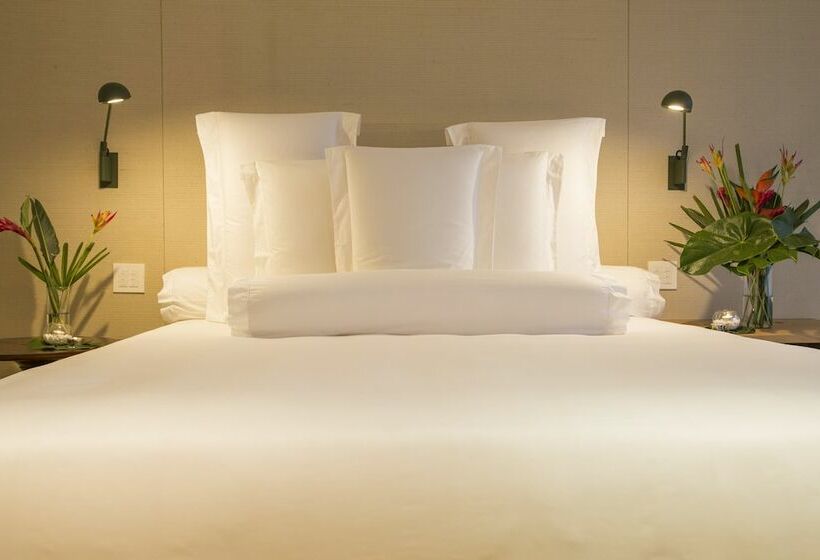 اتاق داخلی دلوکس, Emiliano Rio