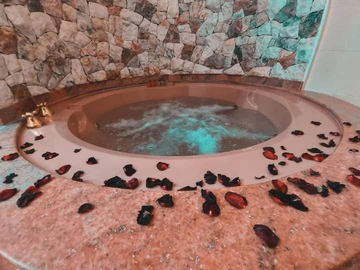 Standart Stüdyo, Cortese