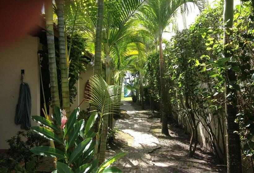 스탠다드 룸, Pousada Tropicalia