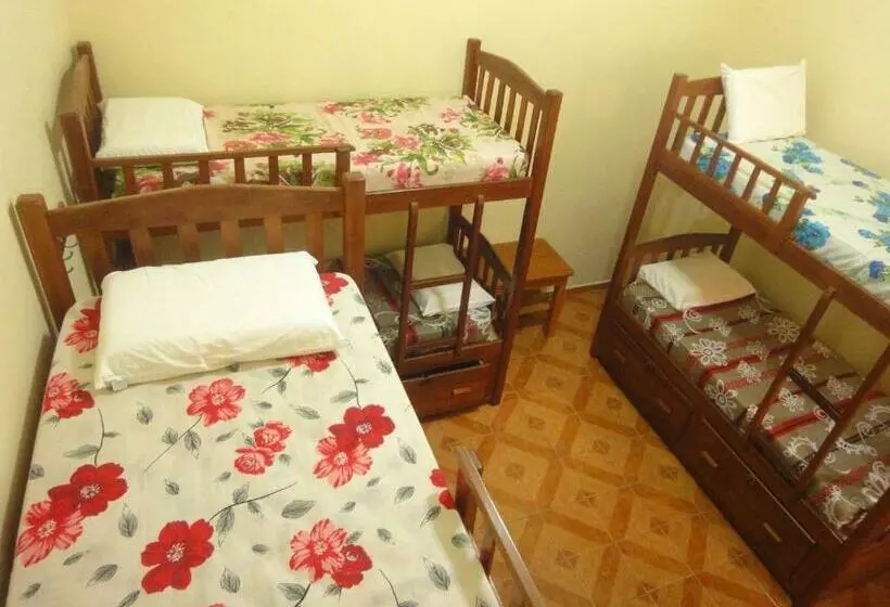 ルームシェアのワンベッド, Hostel Manaus