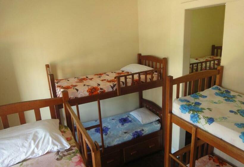 공동 객실, Hostel Manaus