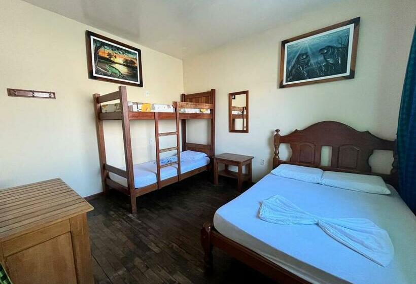 اتاق استاندارد با سرویس بهداشتی مشترک, Hostel Manaus