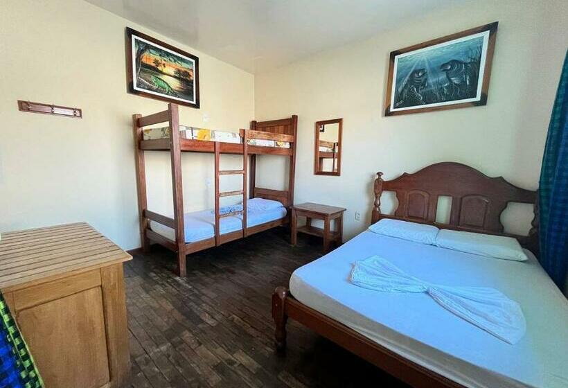 스탠다드 룸 공동 욕실, Hostel Manaus