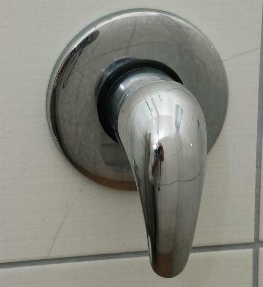 Номер Стандарт, Veredas