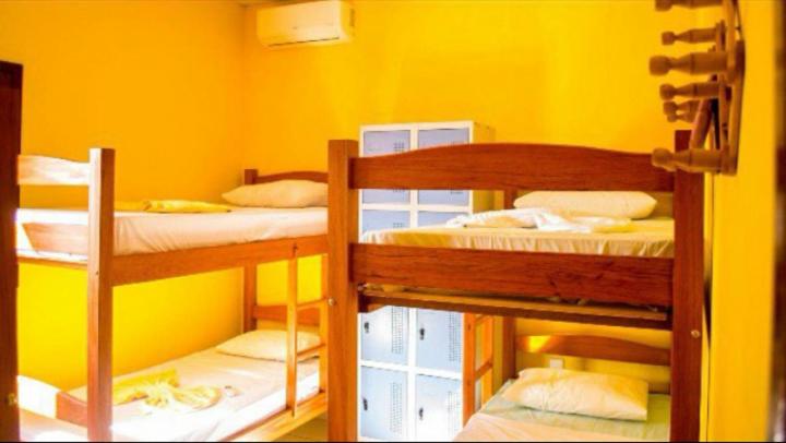 Bed in een Gedeelde Kamer, Sol Hostel & Pousada Maragogi