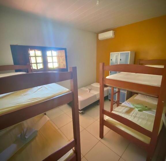 Bed in een Gedeelde Kamer, Sol Hostel & Pousada Maragogi