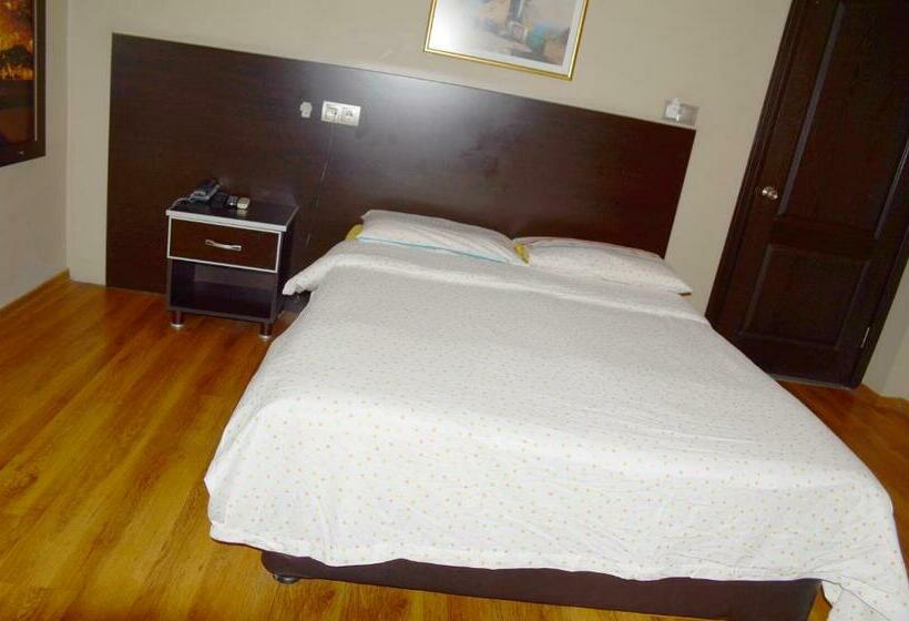 Номер Стандарт Индивидуальный, Altindisler Otel