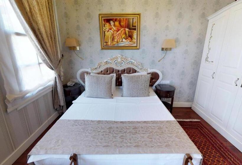 اتاق سوپریور, 1207 Special Class