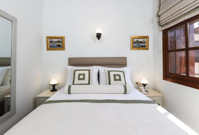 اتاق سوپریور, 1207 Special Class