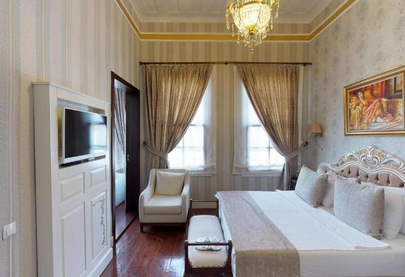 اتاق سوپریور, 1207 Special Class